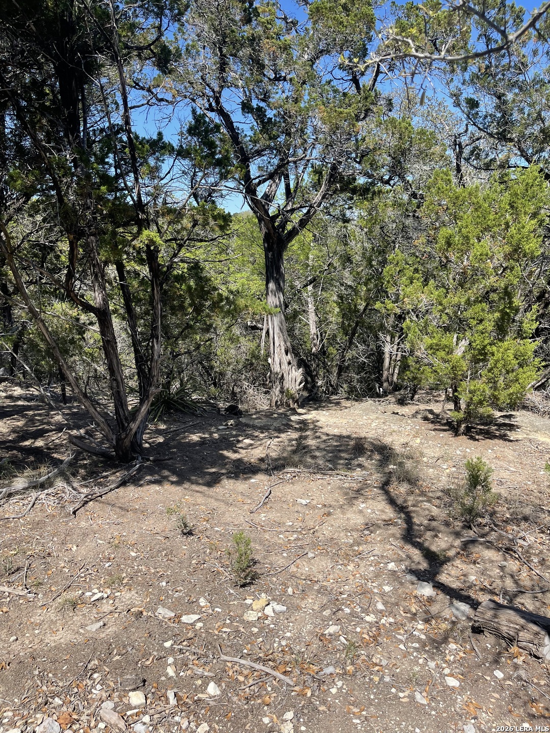 Lot 161 Bluff View Circle Bandera, TX 78003 - Photo 8 of 15