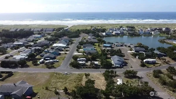 a view of a forest filled with trees