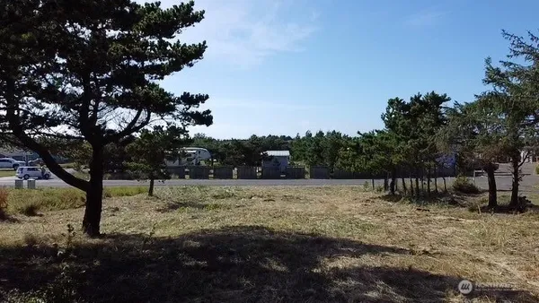 a view of outdoor space with trees