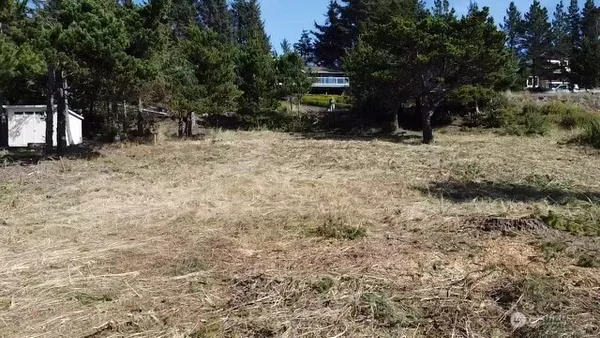 a view of yard with trees