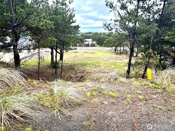 a view of yard covered with snow