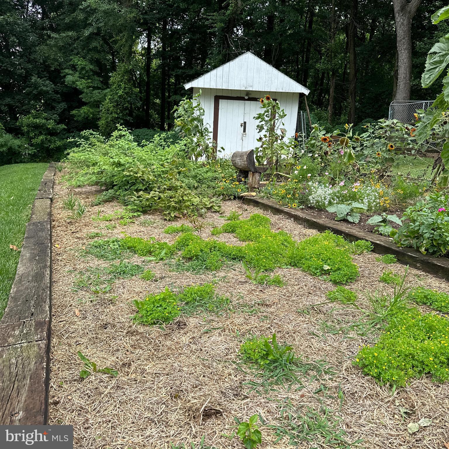 641 Buck Road Quarryville, PA 17566 - Photo 14 of 52