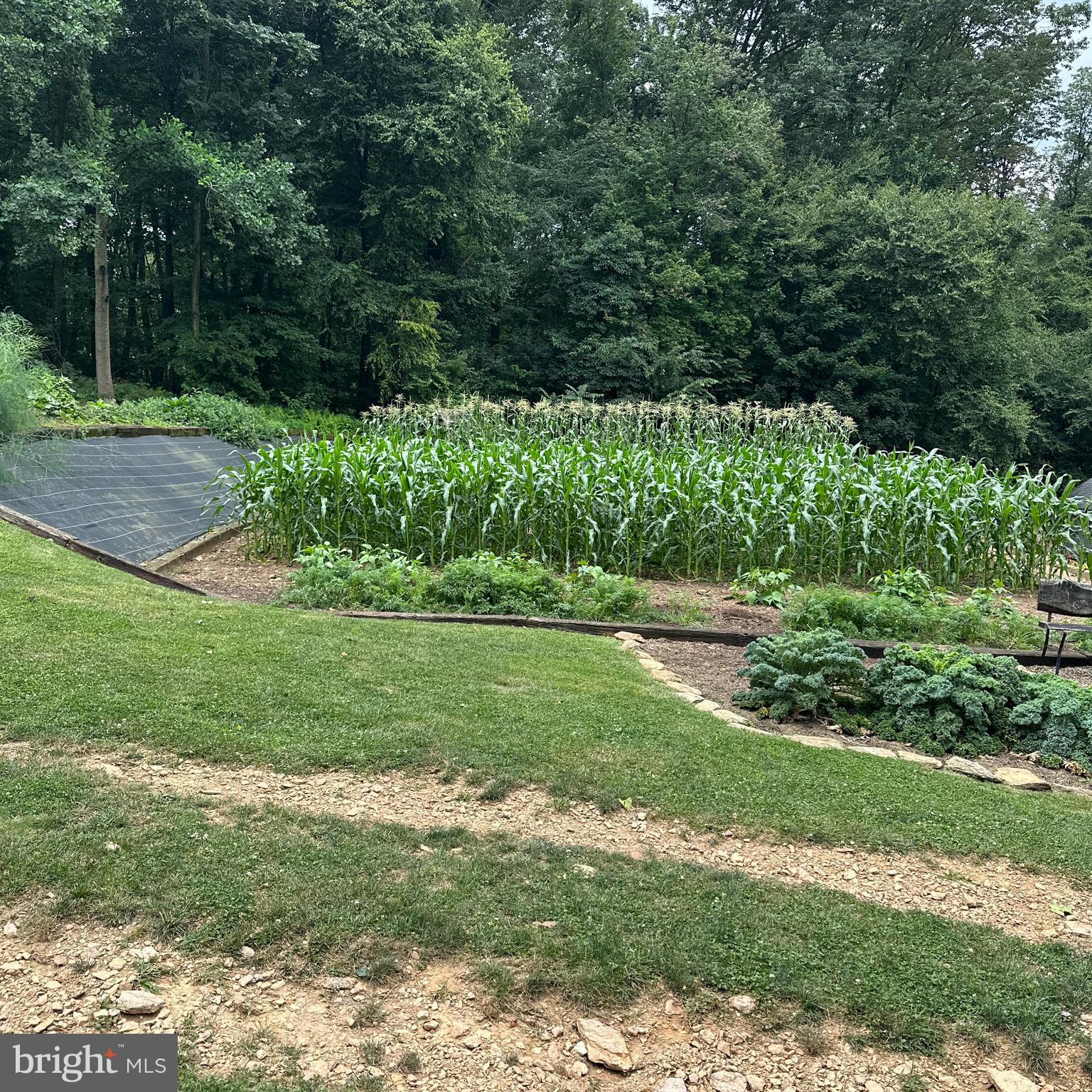 641 Buck Road Quarryville, PA 17566 - Photo 15 of 52