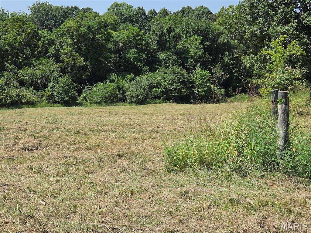 0 Ridge View Lane Jackson, MO 63755 - Photo 2 of 11 Gallery Image 2