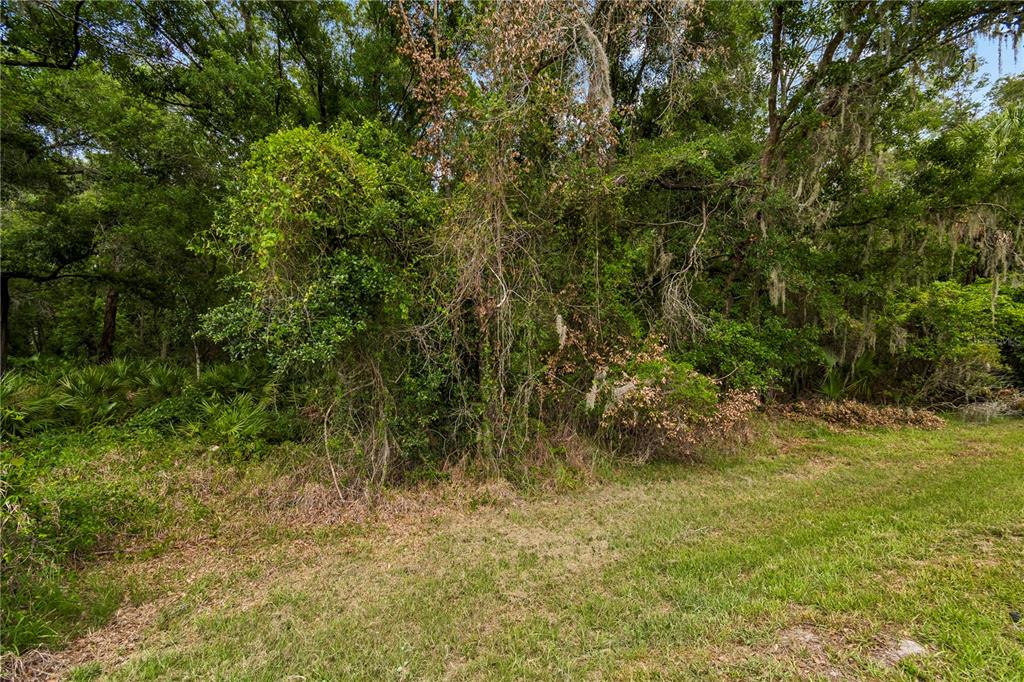 16936 Falconridge Road Lithia, FL 33547 - Photo 67 of 87