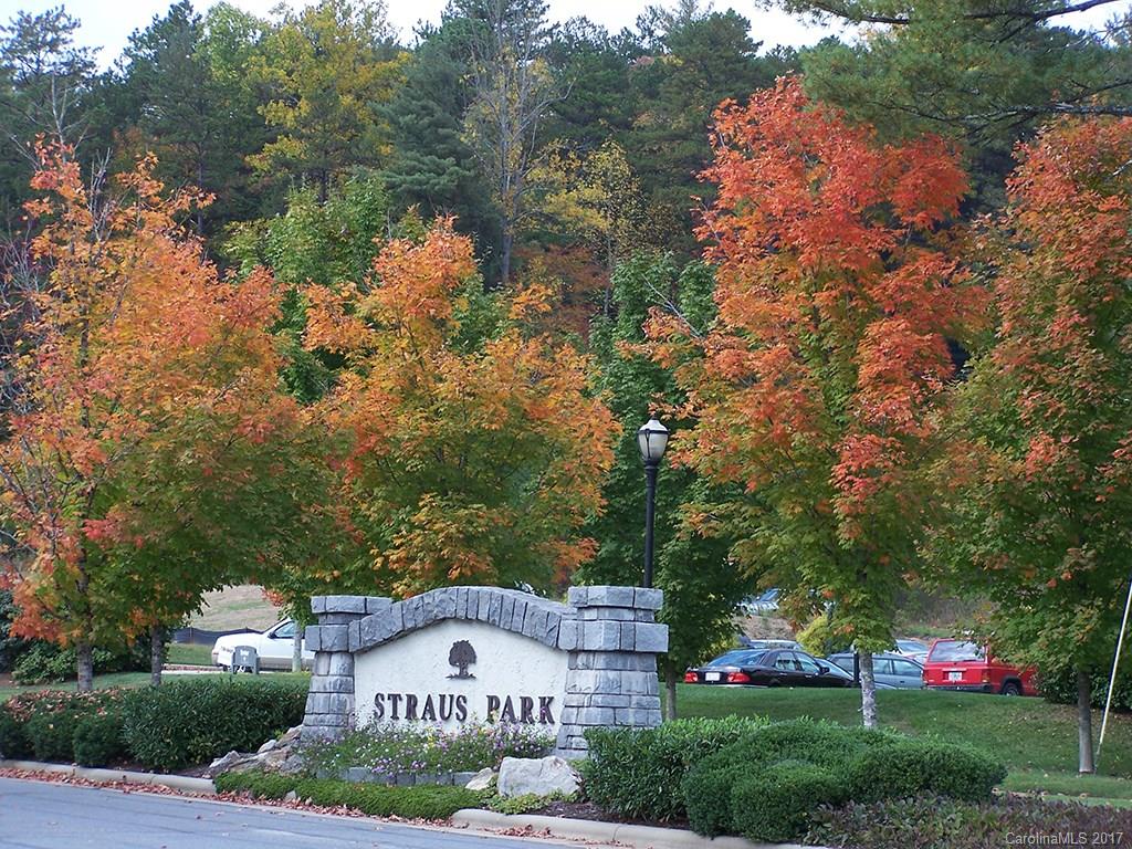 M115 Camptown Road, Unit M115 Brevard, NC 28712 - Photo 2 of 6 Gallery Image 2