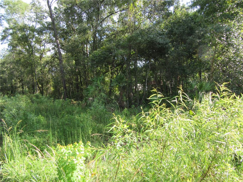 0 Alsip New Port New Port Richey, FL 34654 - Photo 1 of 1