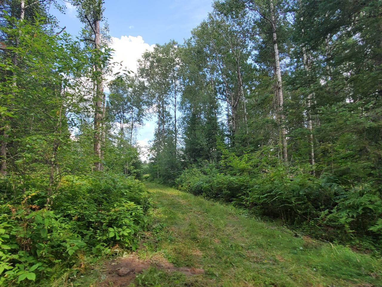 304-ac River Road Rhinelander, WI 54501 - Photo 22 of 47 Gallery Image 22