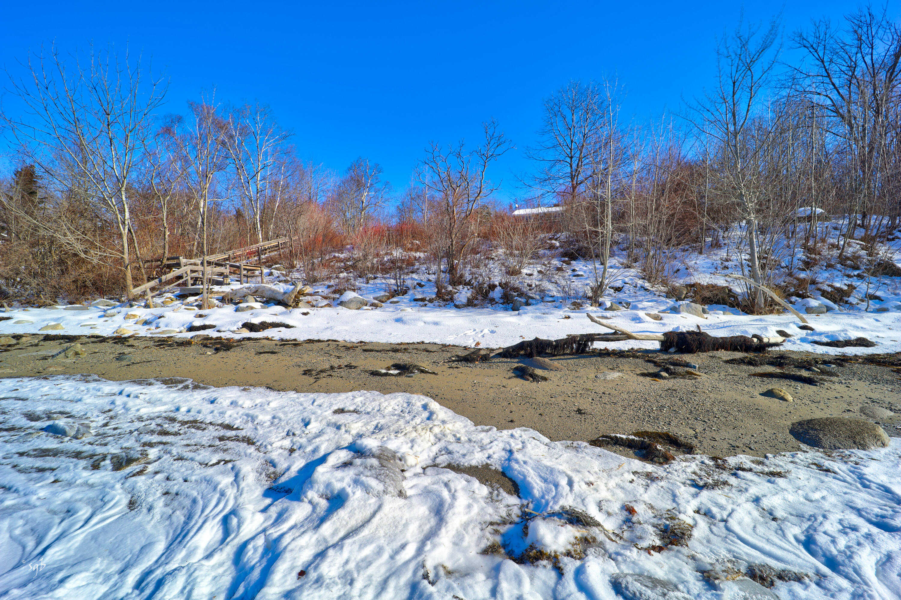 1606 Castine Road Penobscot, ME 04476 - Photo 19 of 44 1606CastineRoadPenobscot28