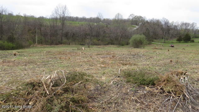 2 Herndon Road Lawrenceburg, KY 40342 - Photo 11 of 11 IMG_4890