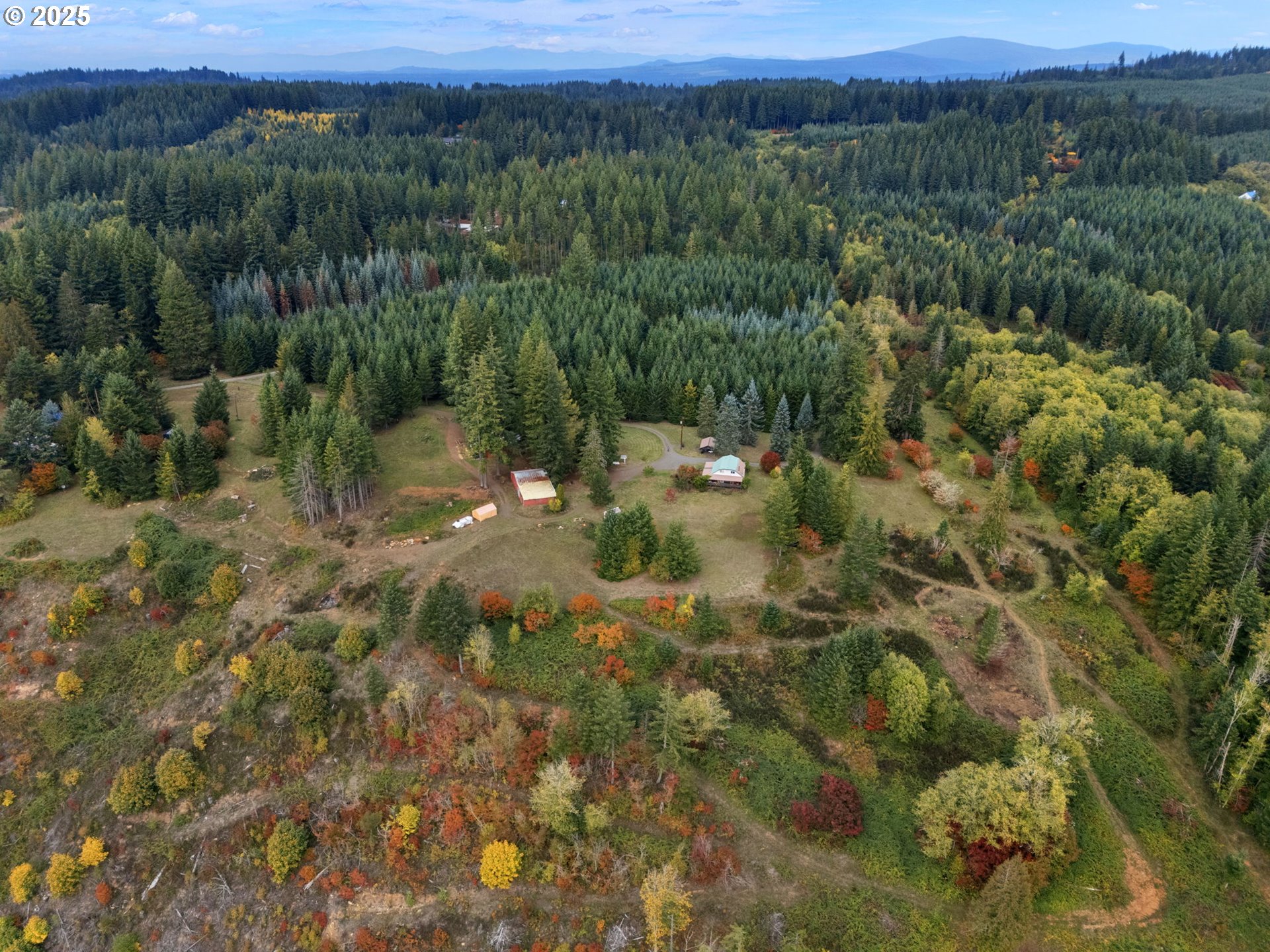 25751 Southeast Brian Ranch Road Sandy, OR 97055 - Photo 35 of 44 a view of a lush green forest with trees and some houses