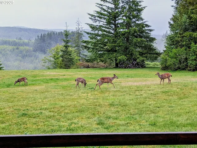 $924,900 | 25751 Southeast Brian Ranch Road, Sandy, OR 97055