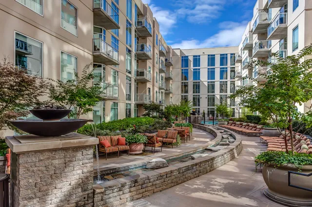 a view of a patio with couches and a potted plant on a table
