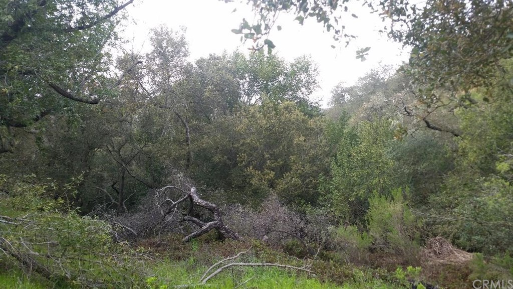 14015 San Miguel Road Atascadero, CA 93422 - Photo 11 of 11 Gallery Image 11