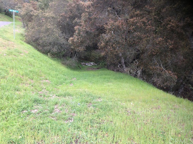 14015 San Miguel Road Atascadero, CA 93422 - Photo 3 of 11 Walk down the driveway from San Miguel to begin exploring this beautiful property.