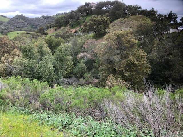 14015 San Miguel Road Atascadero, CA 93422 - Photo 8 of 11 Gallery Image 8