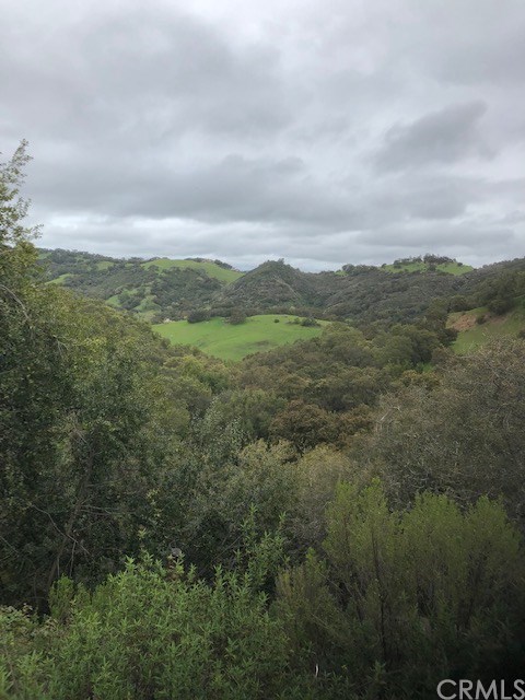 14015 San Miguel Road Atascadero, CA 93422 - Photo 10 of 11 View from the property.