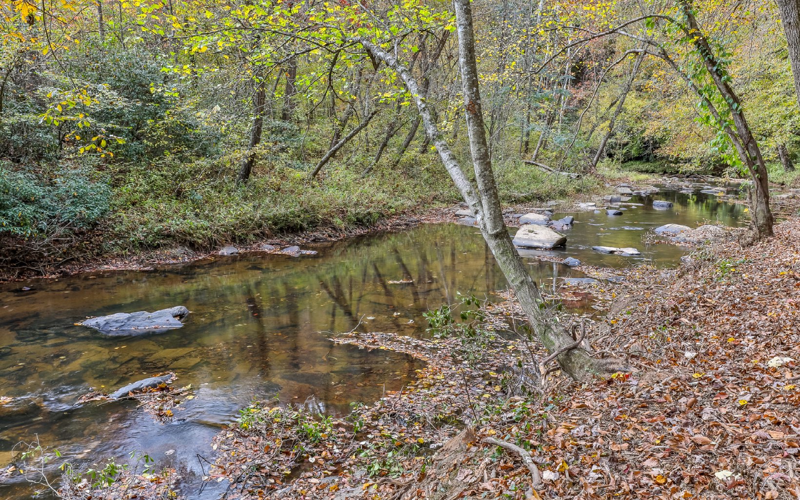 2127 Carver Mill Road Talking Rock, GA 30175 - Photo 1 of 42 Main View