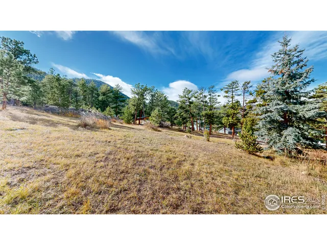 a backyard of a house with wooden fence and a lots of trees