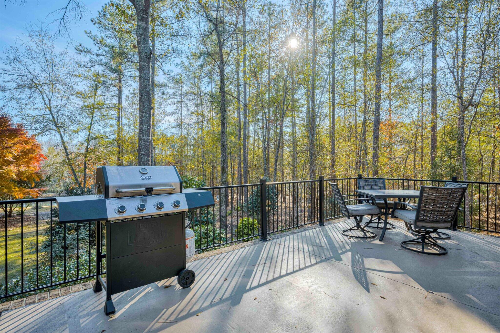 7115 Castlesteads Drive Aiken, SC 29803 - Photo 43 of 60 Outdoor Living Spaces