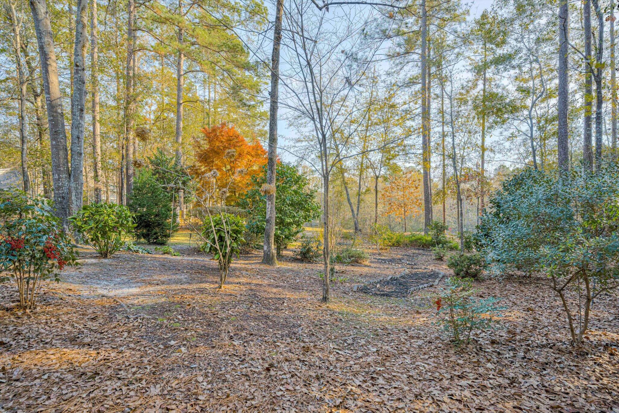 7115 Castlesteads Drive Aiken, SC 29803 - Photo 45 of 60 Garden Paths