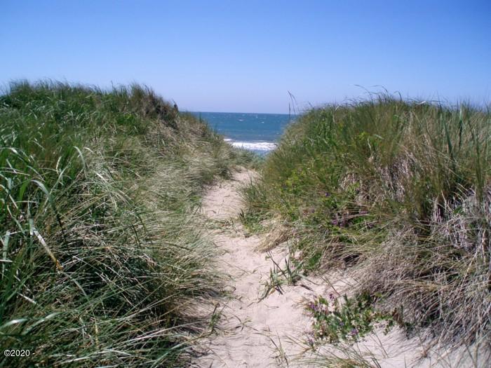203 Northwest Logan Road Lincoln City, OR 97367 - Photo 10 of 14 One of several beach accesses