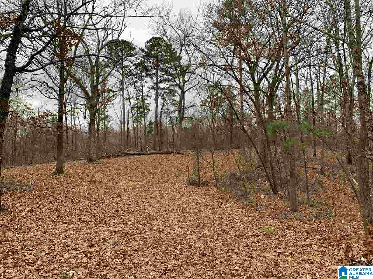1659 Clara Lane Weaver, AL 36277 - Photo 6 of 17