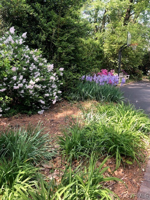 8854 River Road Henrico, VA 23229 - Photo 42 of 49 Gallery Image 42