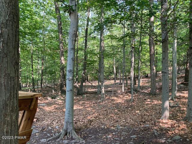 1148 Mustang Road Lake Ariel, PA 18436 - Photo 33 of 34