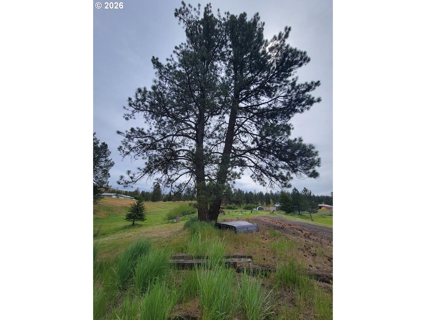 0 Coombs Loop La Grande, OR 97850 - Photo 10 of 14 View
