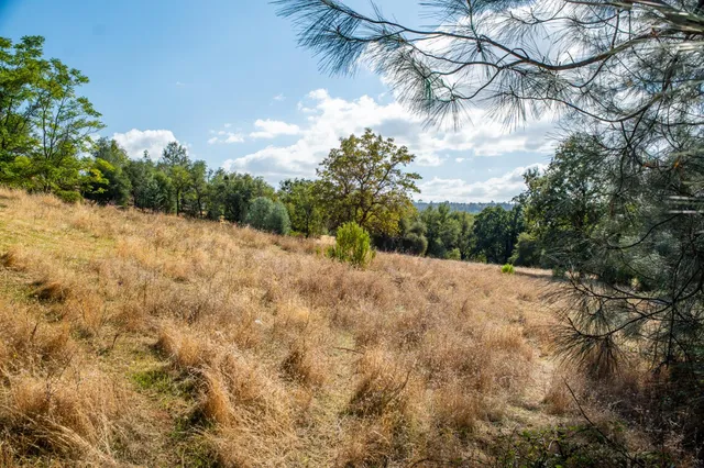 a view of outdoor space with trees