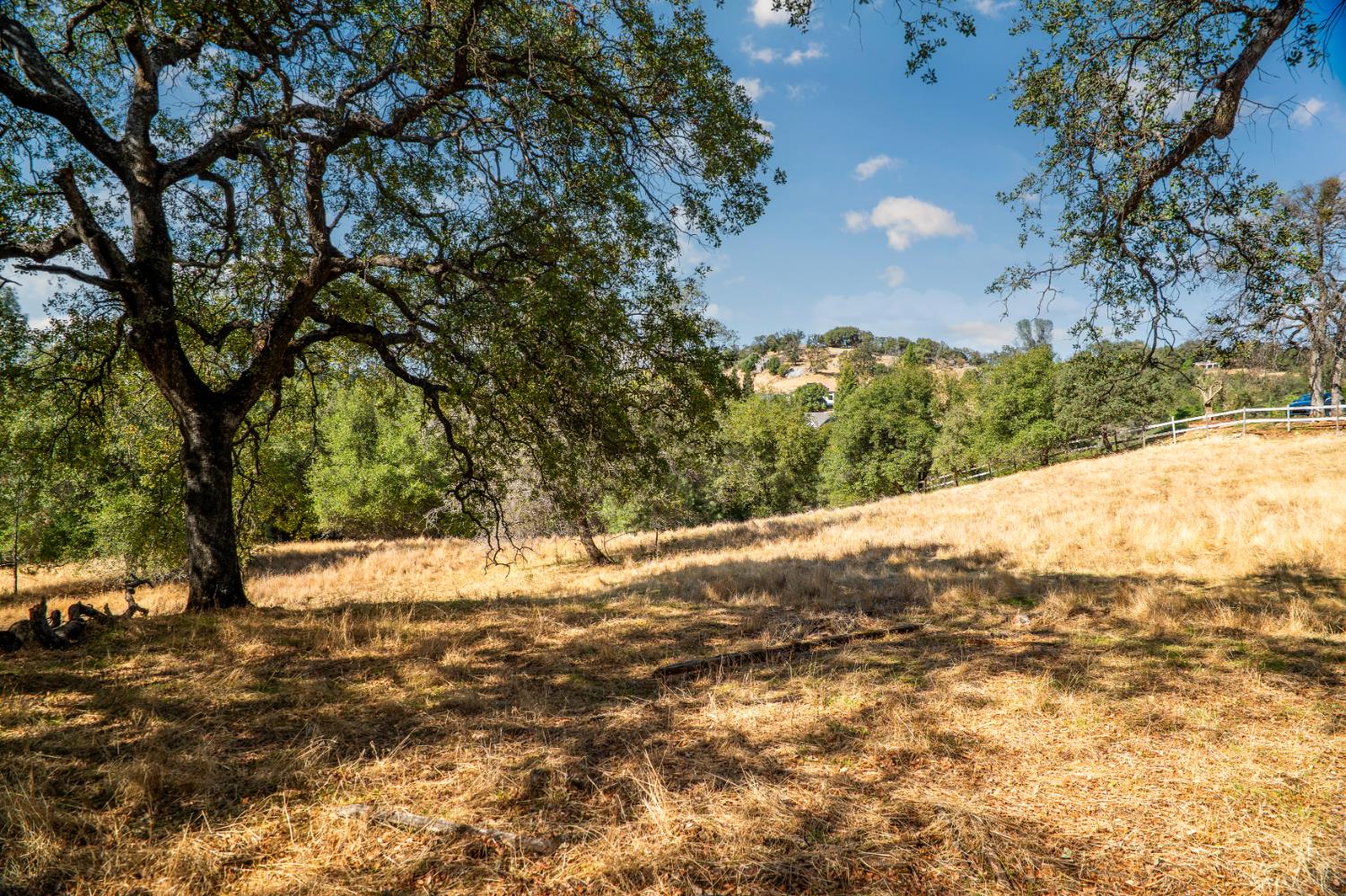 0 Chili Hill Road Newcastle, CA 95658 - Photo 16 of 27 a view of a yard with a tree