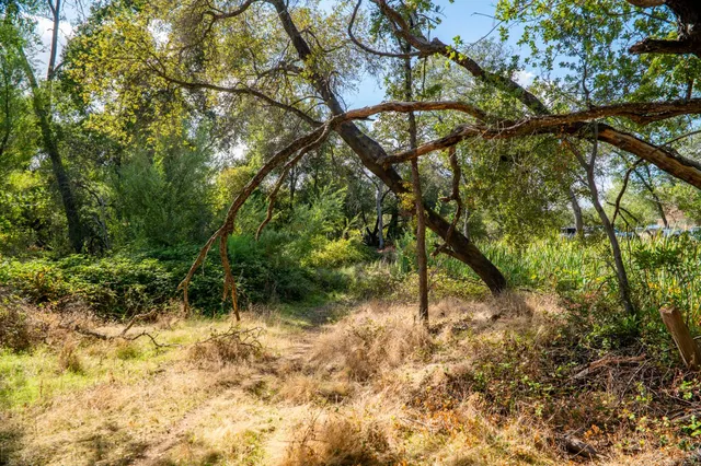 a view of backyard with green space