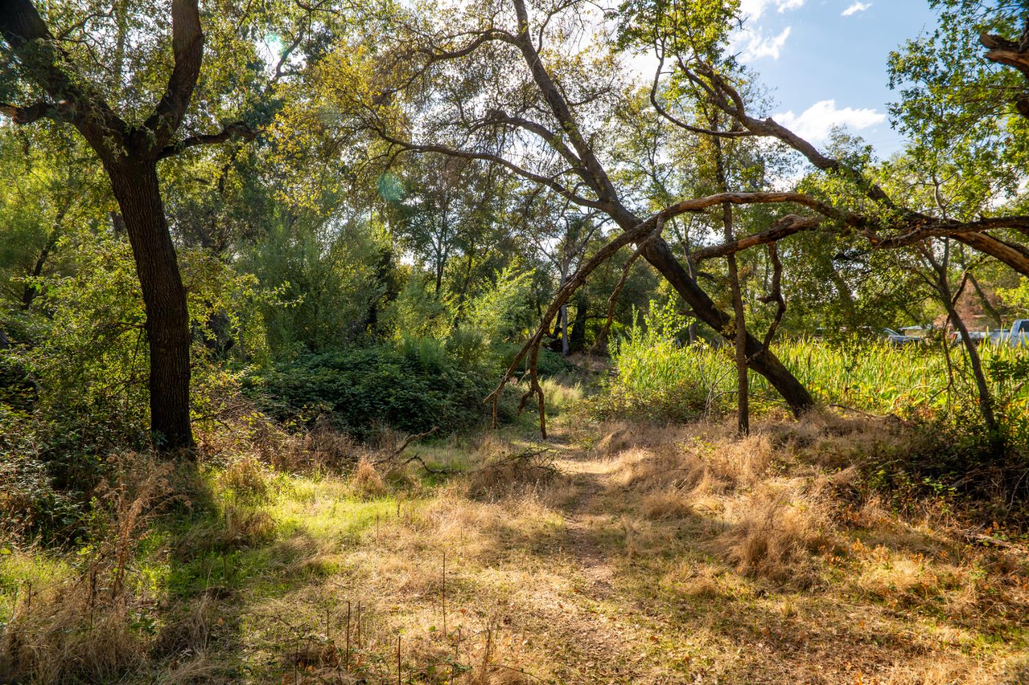 0 Chili Hill Road Newcastle, CA 95658 - Photo 20 of 27 a view of backyard with green space
