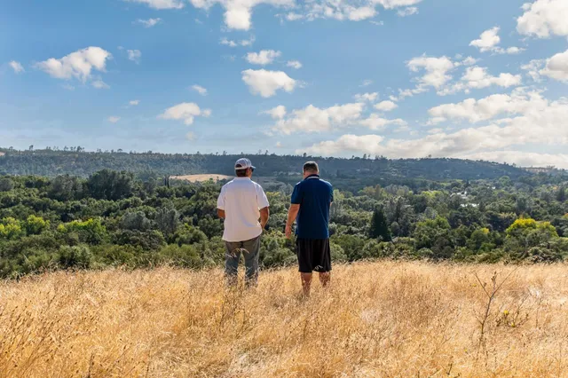 a view of a back yard