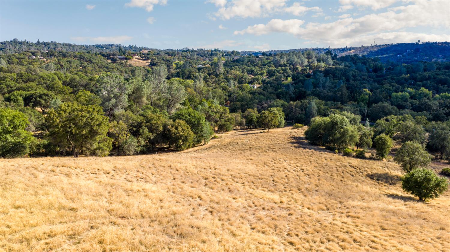 0 Chili Hill Road Newcastle, CA 95658 - Photo 6 of 27 a view of a backyard of a house