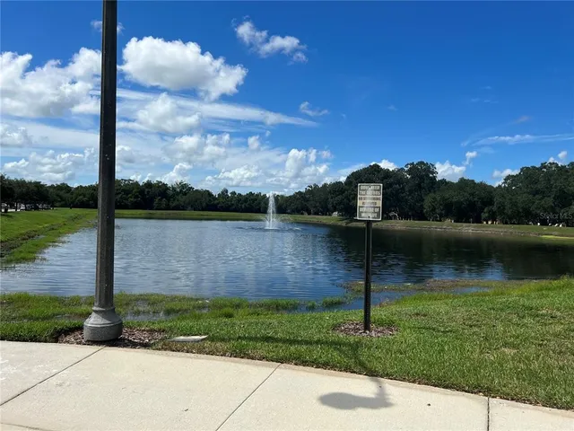 a view of a lake from a yard