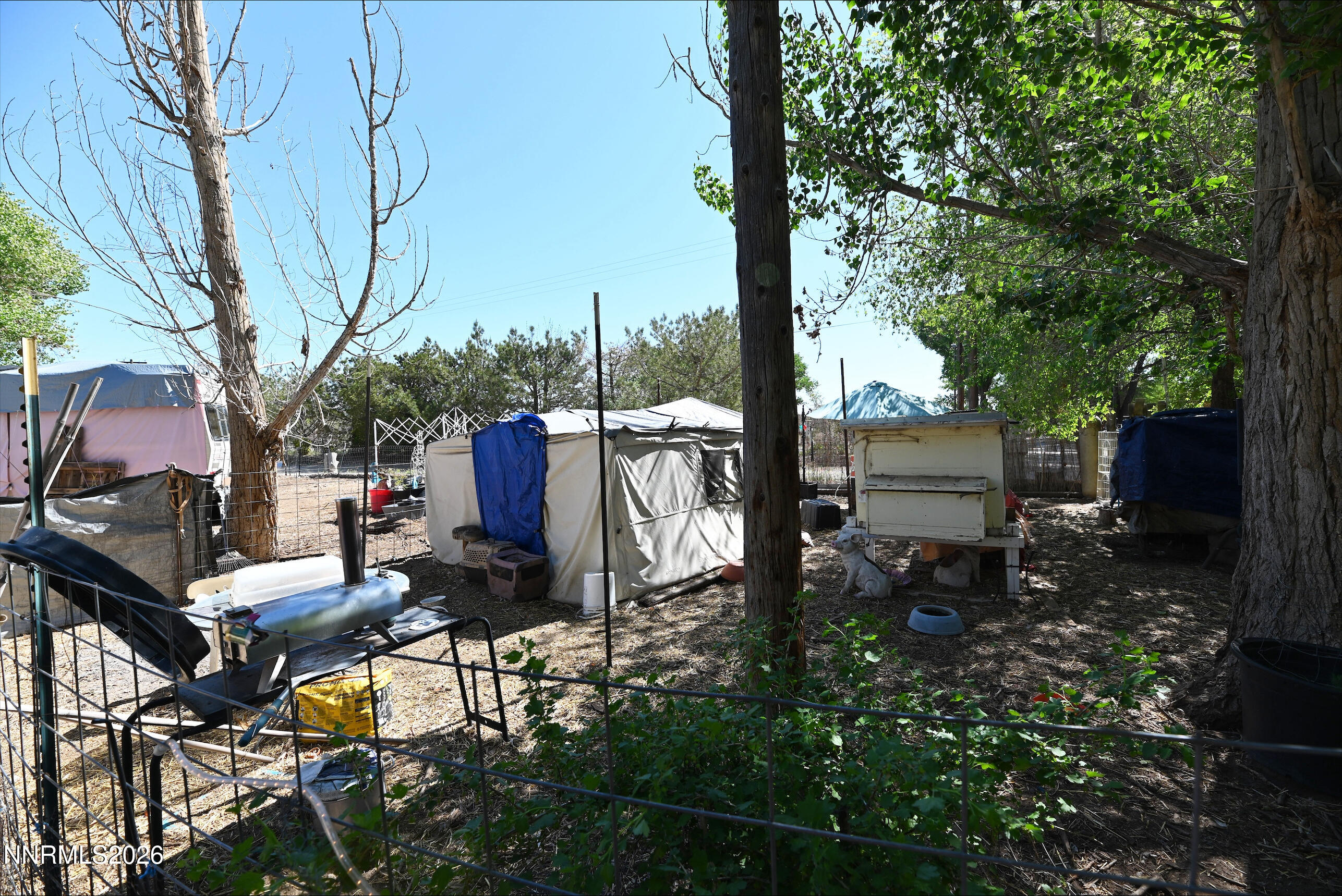1714 Shoffner Lane Fallon, NV 89406 - Photo 6 of 6 a garden view with sitting space