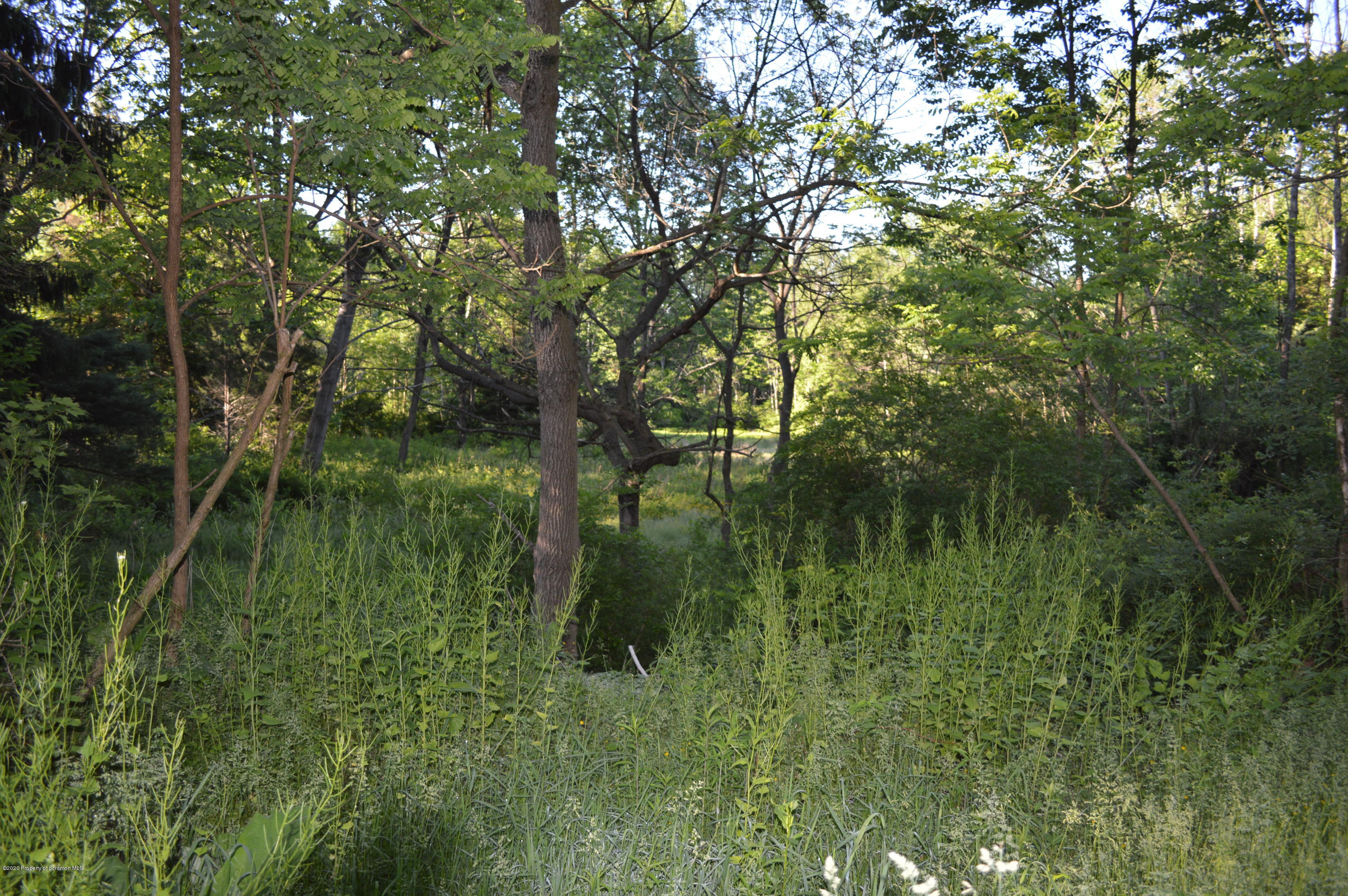641 Becks Crossing Road Moscow, PA 18444 - Photo 27 of 28 a view of a green field with a tree