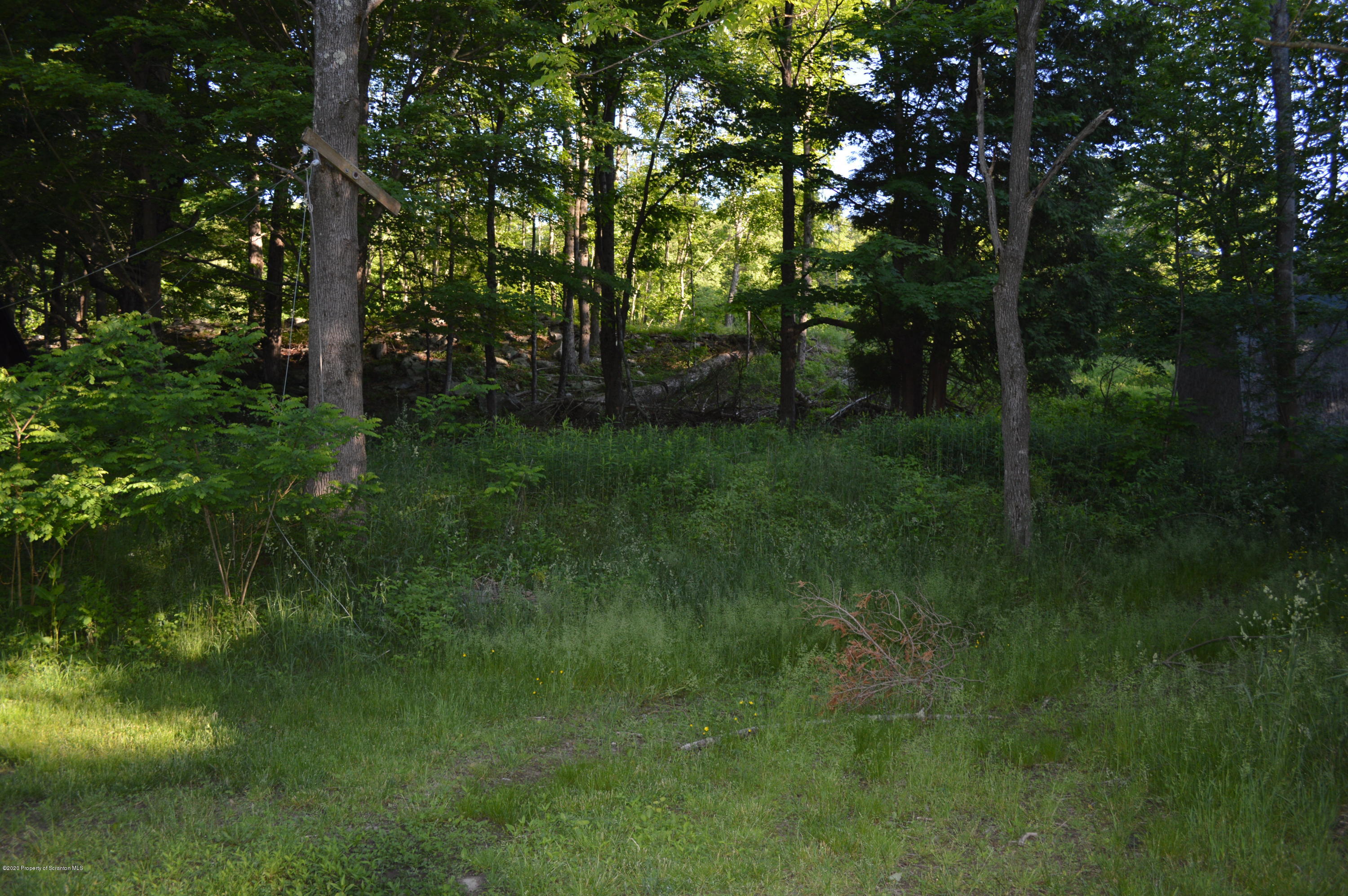 641 Becks Crossing Road Moscow, PA 18444 - Photo 28 of 28 a view of a lush green space