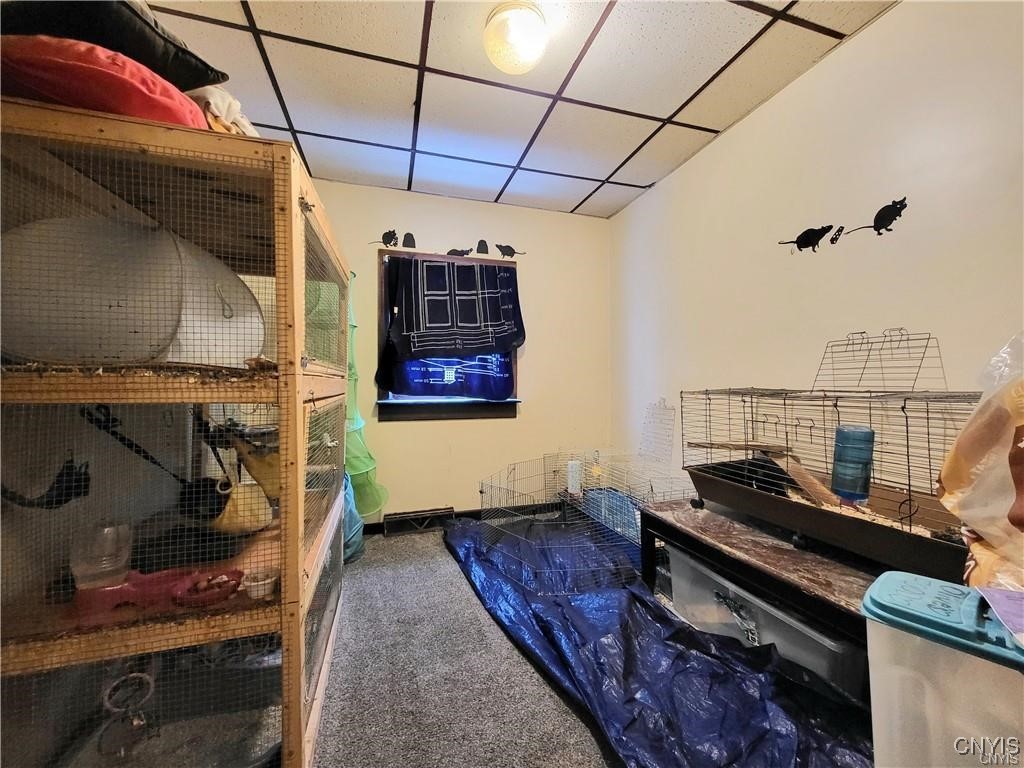 11 Barber Street Auburn, NY 13021 - Photo 23 of 25