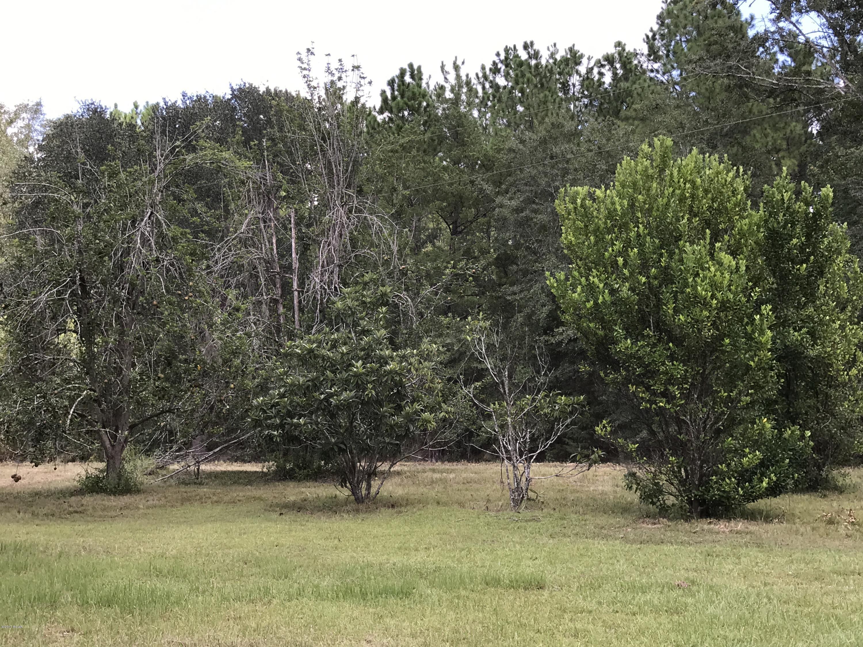 3861 Veteran Road Cottondale, FL 32431 - Photo 32 of 40