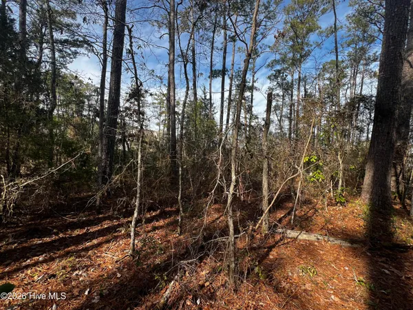 $219,399 | 0 Fairwinds Drive, Oriental, NC 28571