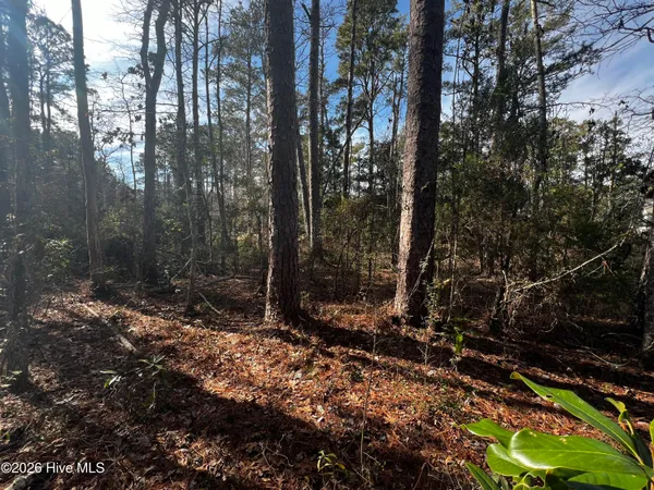 $219,399 | 0 Fairwinds Drive, Oriental, NC 28571