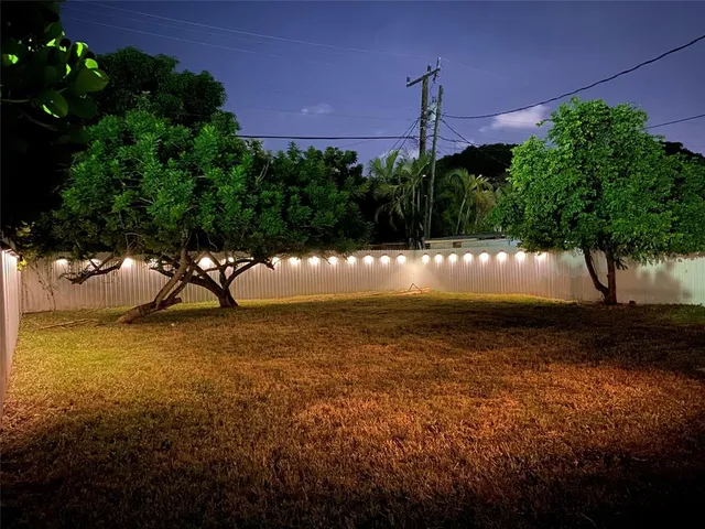 a view of a yard in front of a house with a yard
