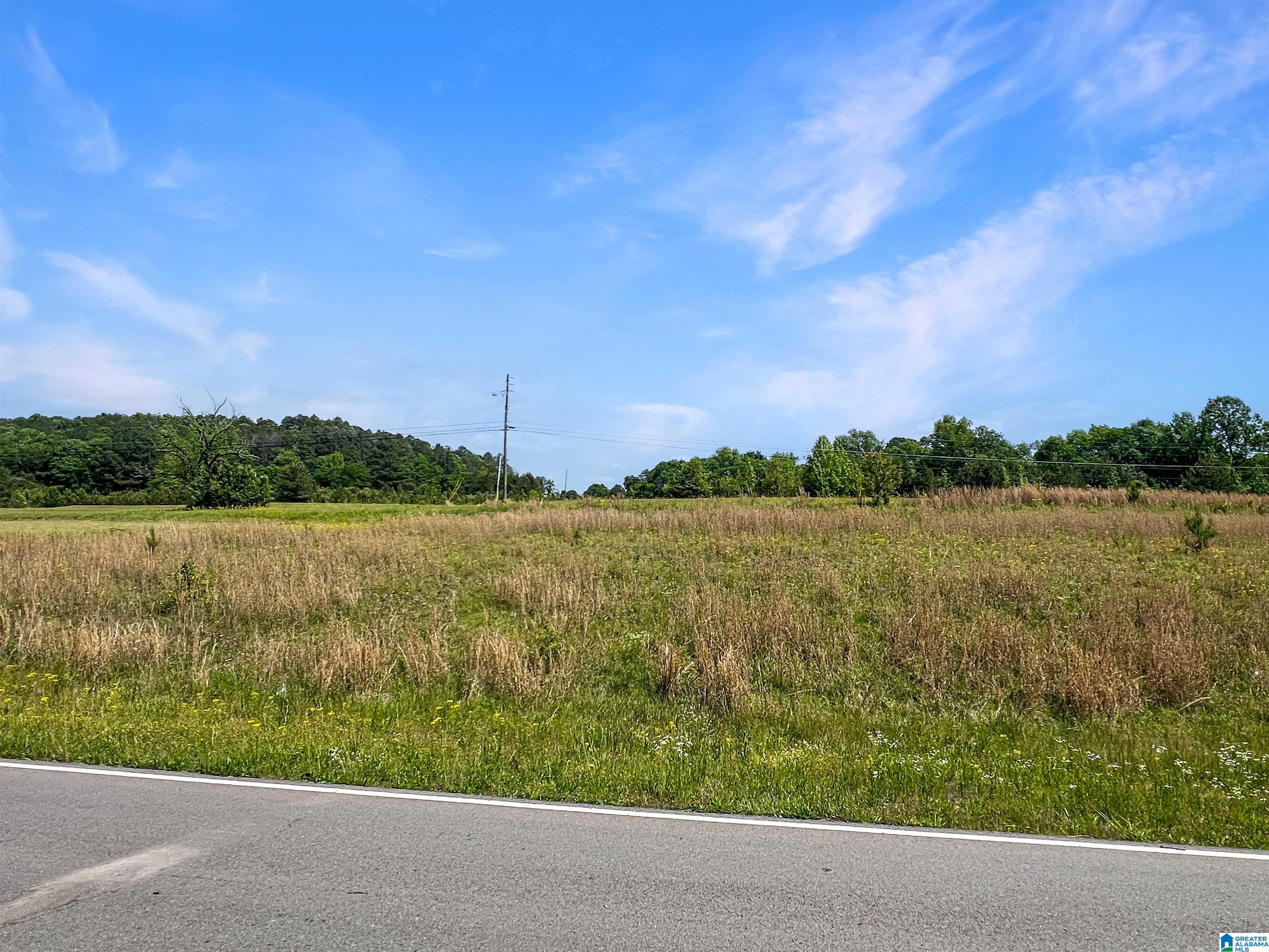 4694 Holly Grove Road Jasper, AL 35501 - Photo 38 of 42