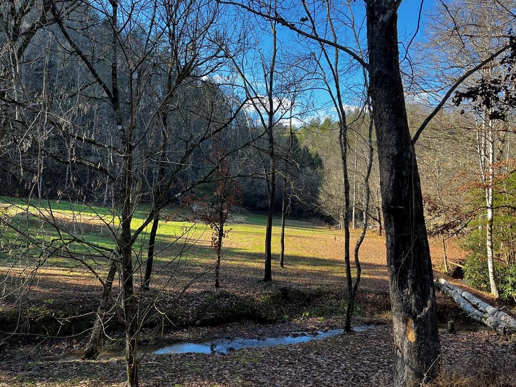 23 Valentine Branch Road Sevierville, TN 37876 - Photo 18 of 18 Gallery Image 18