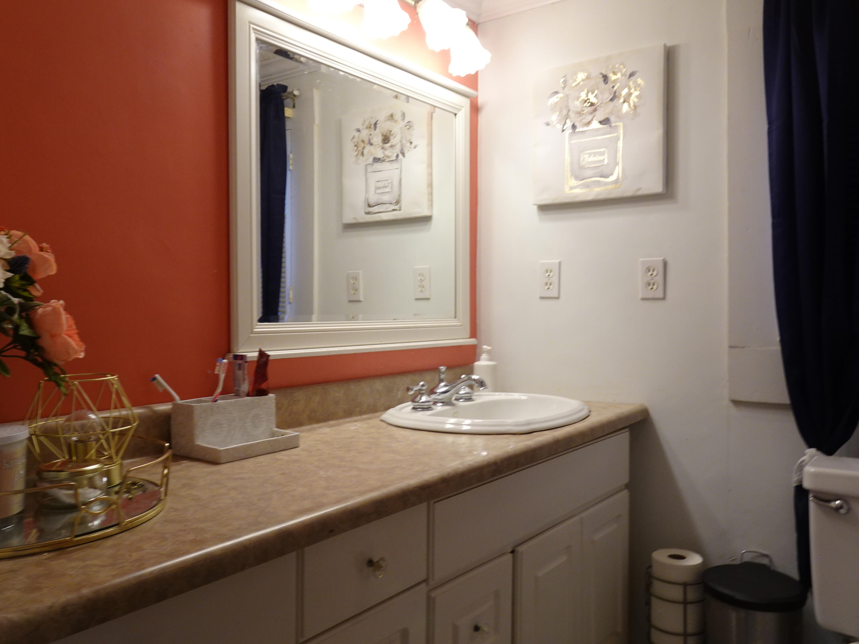 910 5th Street Florala, AL 36442 - Photo 26 of 34 a bathroom with a sink and a mirror