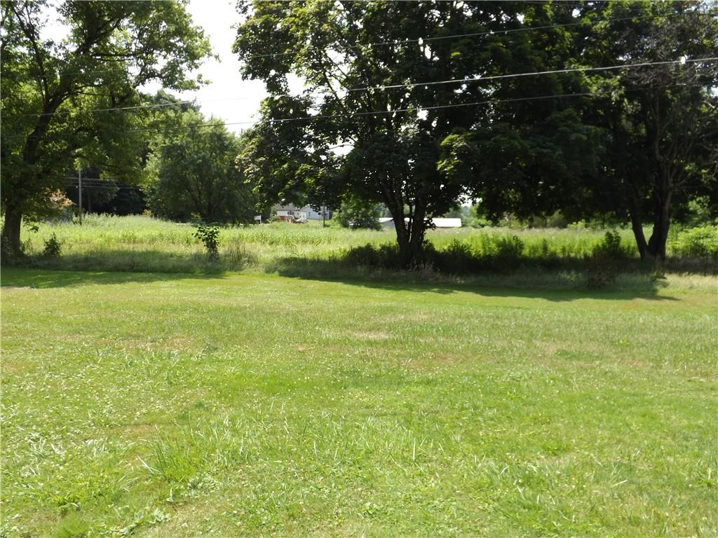 1641 Dime Road Vandergrift, PA 15690 - Photo 22 of 23 a view of a yard with a tree