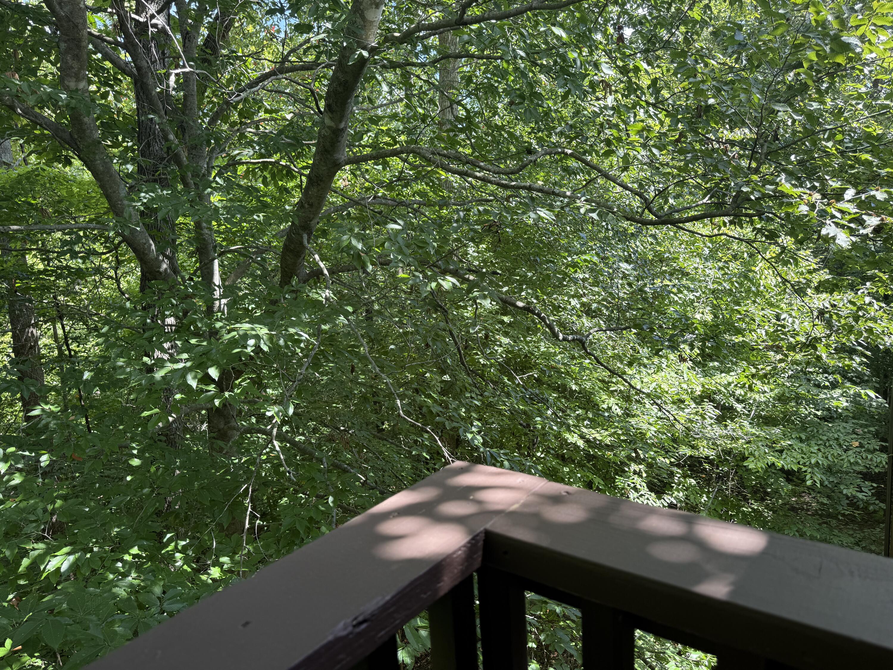 145 State Park Road, Unit B1 Jamestown, KY 42629 - Photo 43 of 59 More private views of nature